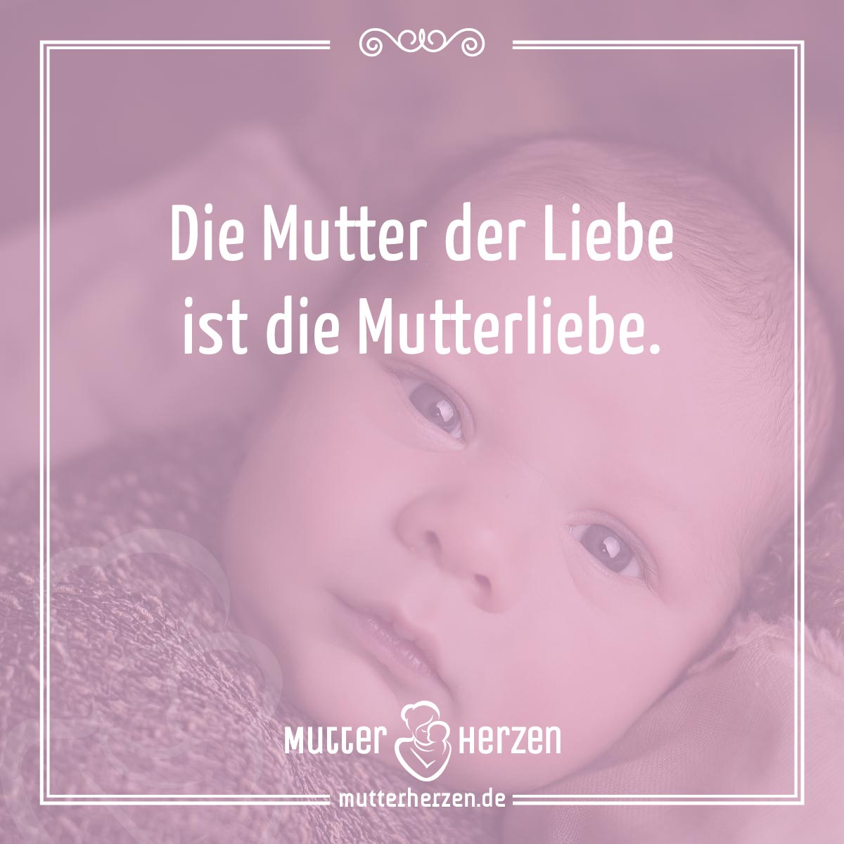 Kann es eine größere Liebe geben? Mutterherzen