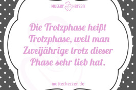 Die Trotzphase heißt Trotzphase weil man Zweijährige trotz dieser Phase sehr lieb hat