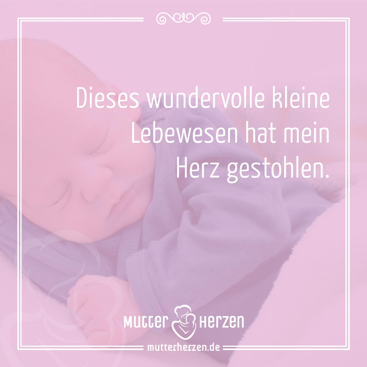 Kleine süße Hände Das Wunder des Lebens Mutterherzen