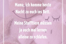 Mama, ich komme heute Nacht zu euch ins Bett. Meine Stofftiere müssen auch mal lernen alleine zu schlafen.