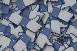 Facebook Like